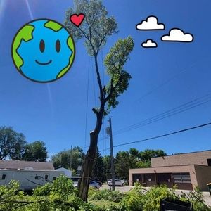 Meet your Posher, Benjamin